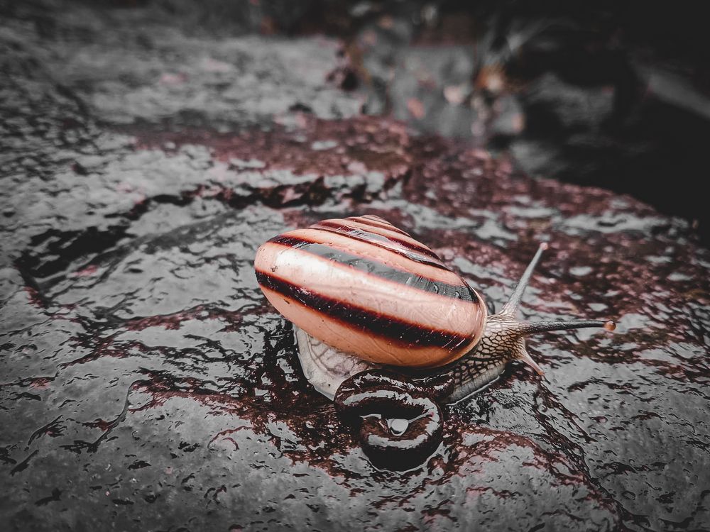 Photograph by Ambewadikar sourabh