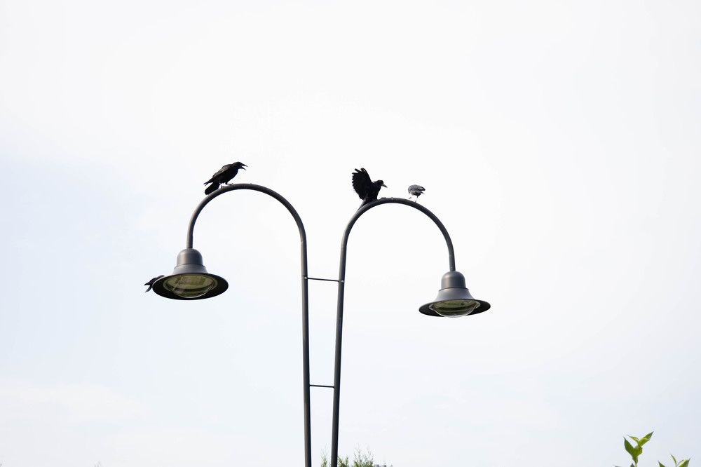 Photograph by Елена Можар