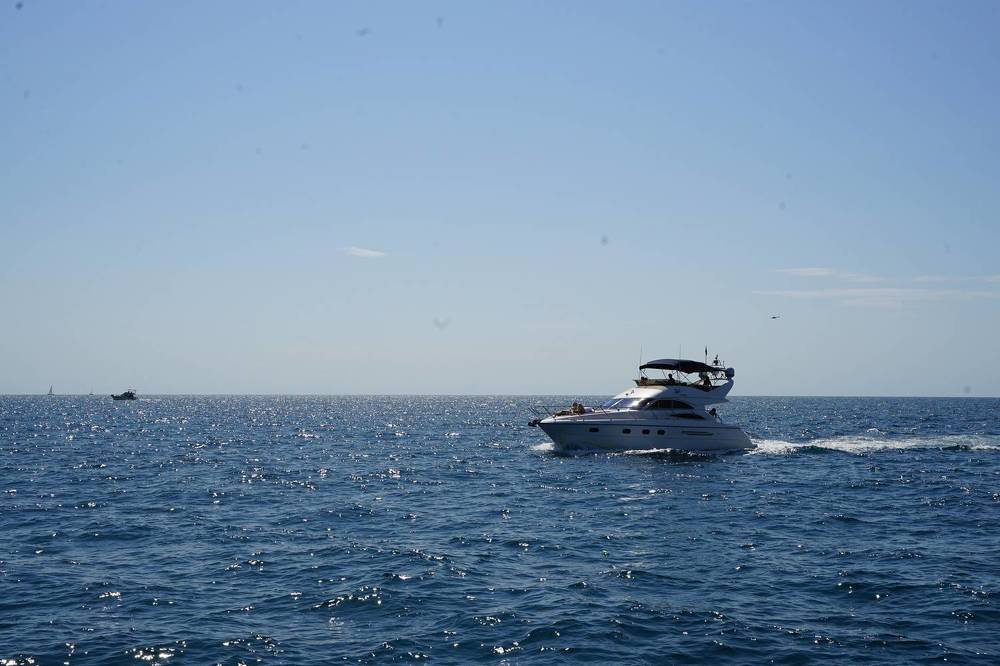 Фотография автора Василиса Новикова