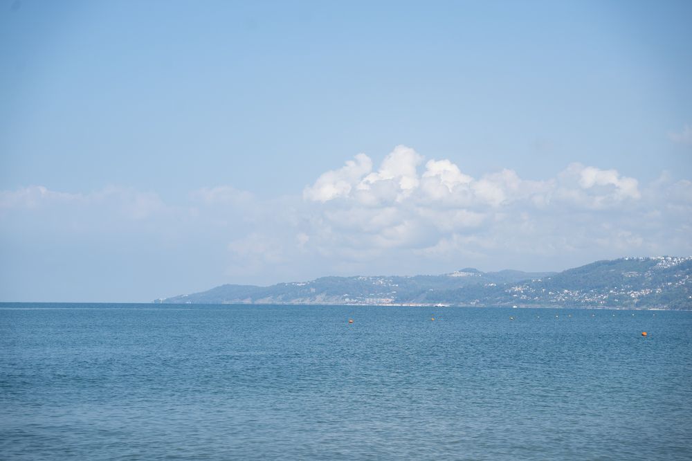 Фотография автора Василиса Новикова