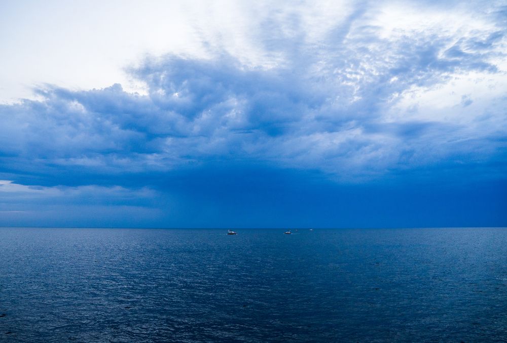 Фотография автора Василиса Новикова