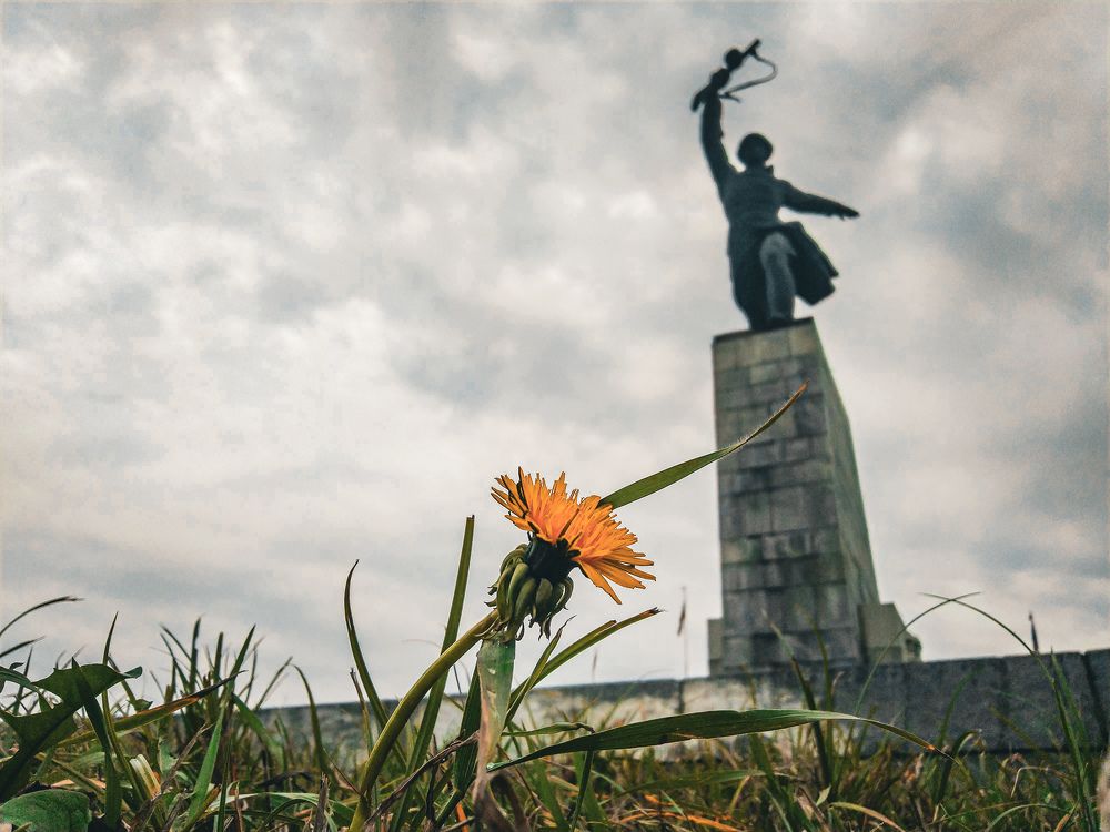Photograph by Michael Nik