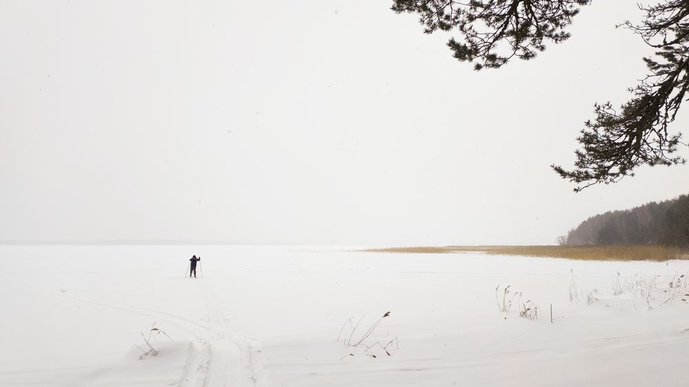 Photograph by Michael Nik