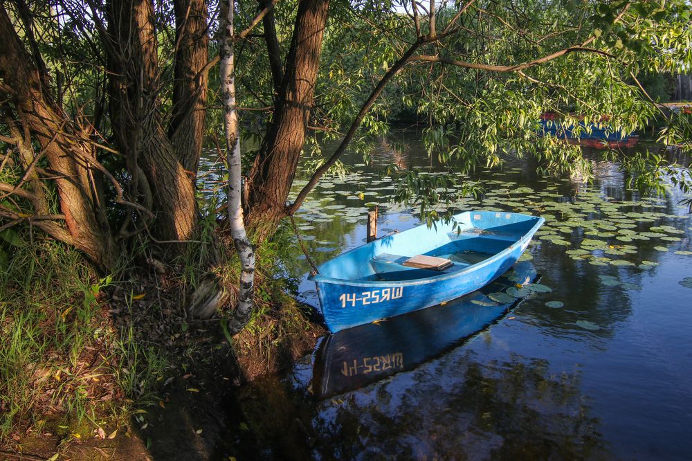 Photograph by Светлана Жилина