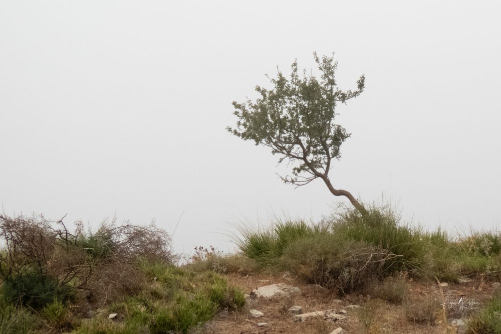 Photograph by Ayoub Kebbour