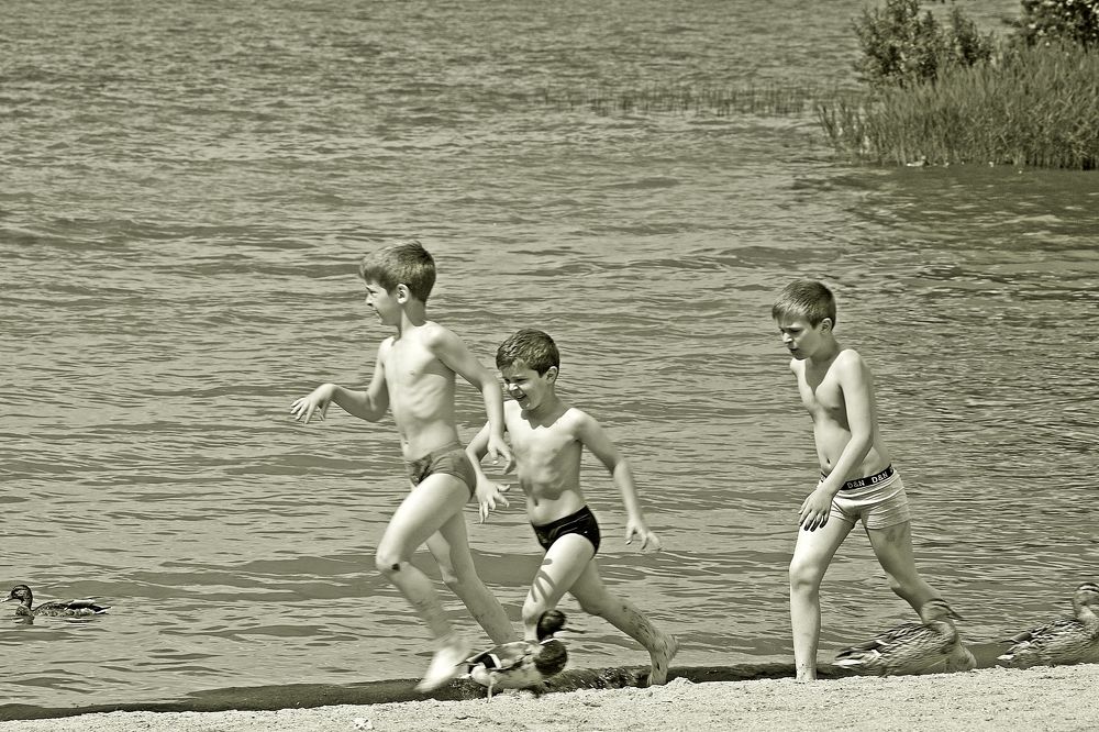 Photograph by Леонид Шнейдерман