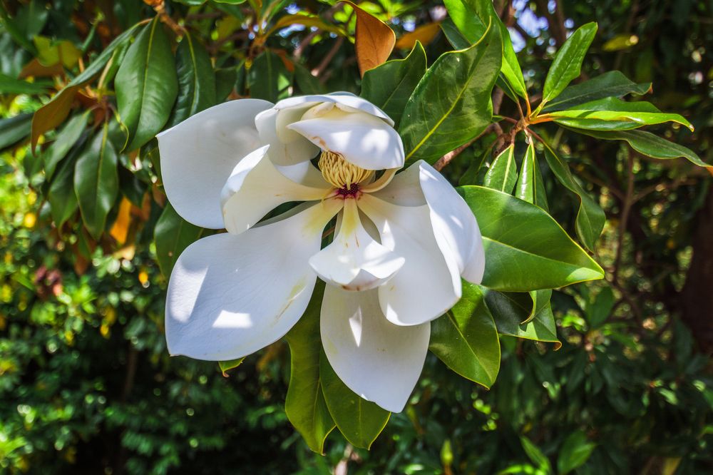 Photograph by Артём Александрович