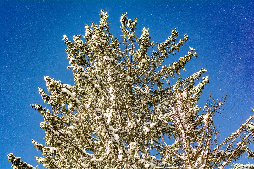 Photograph by Артём Александрович