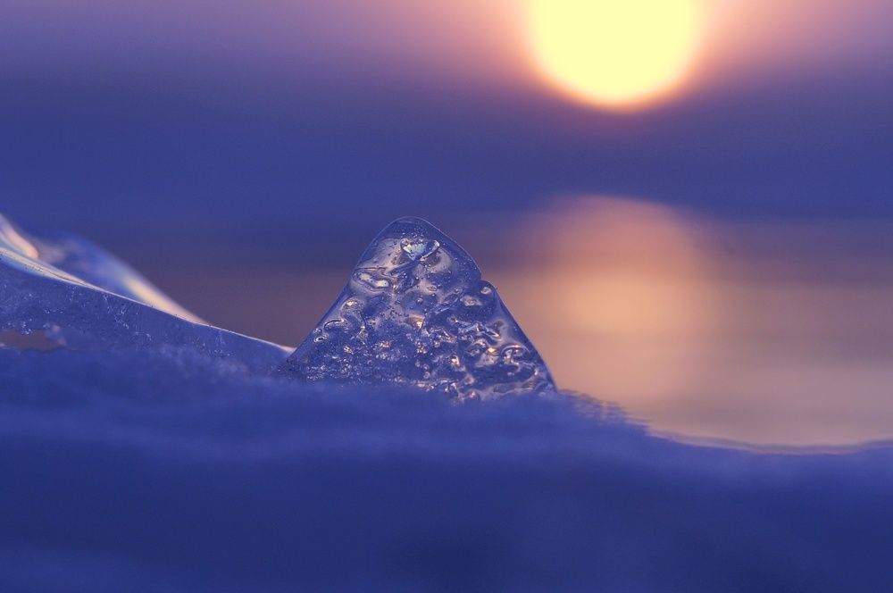 Photograph by Ольга Слугина