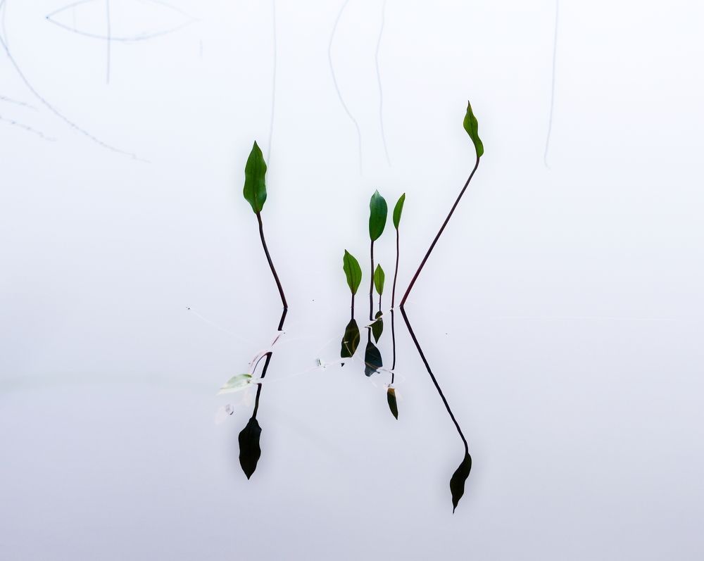 Photograph by Vladimir Bragilevsky