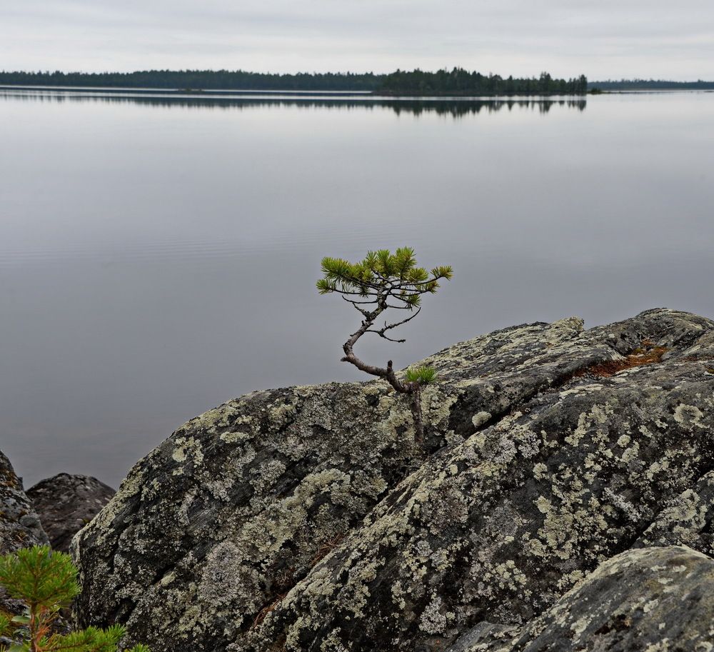 Photograph by Vladimir Bragilevsky