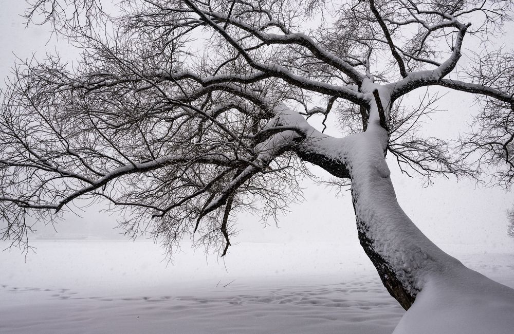 Photograph by Vladimir Bragilevsky