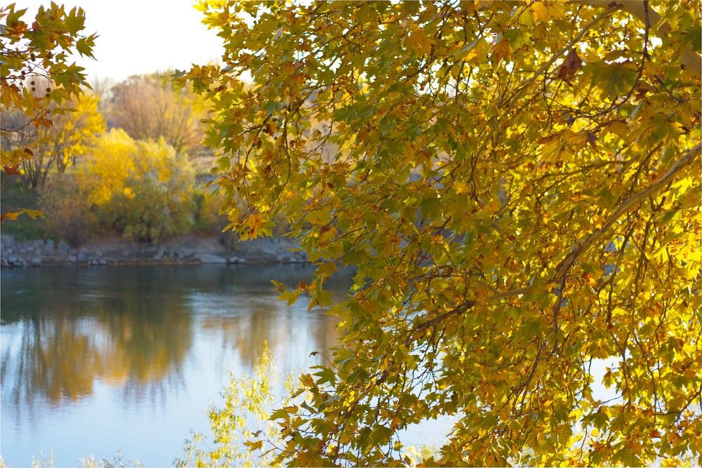 Photograph by Надежда