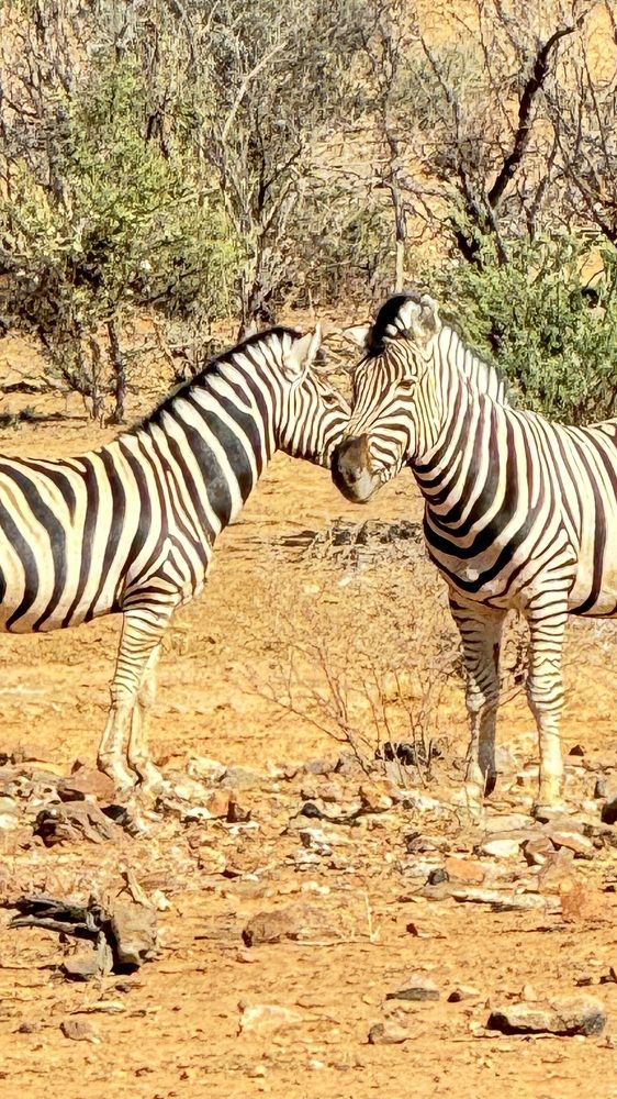 Photograph by Natalia