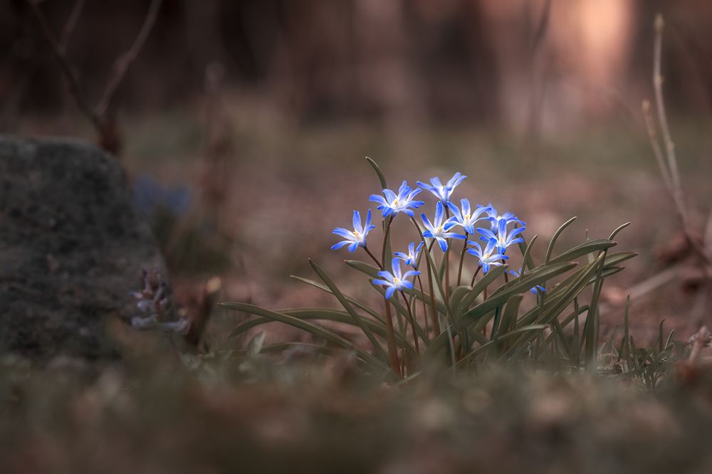 Photograph by Елена Амозова