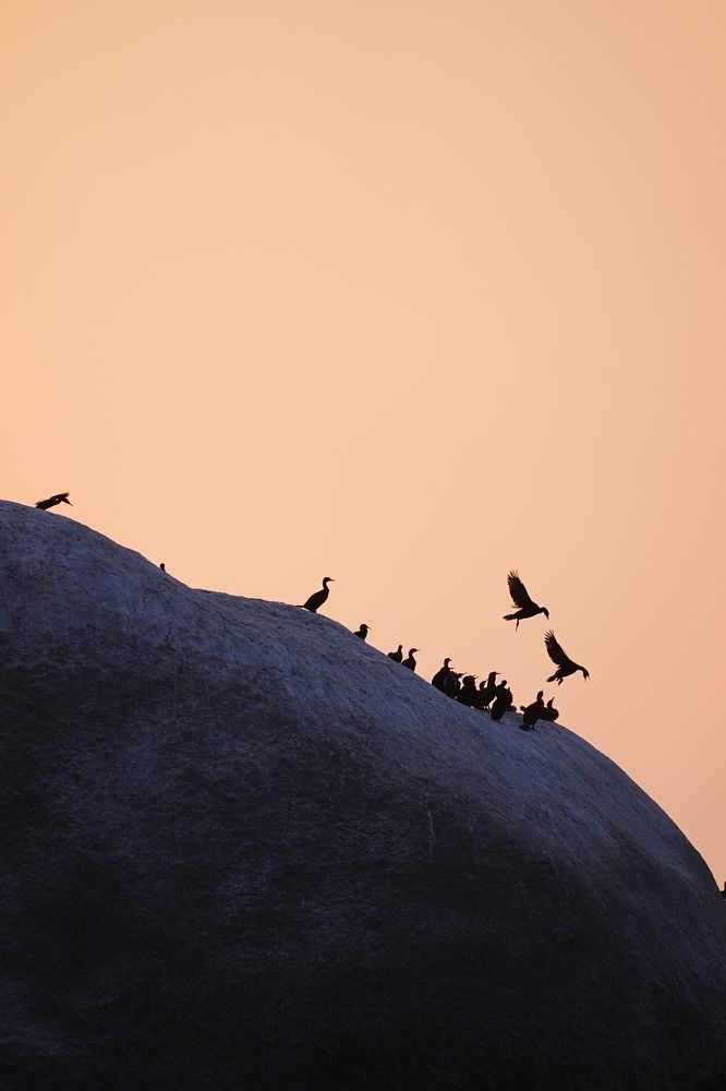 Photograph by Грибова Наталья