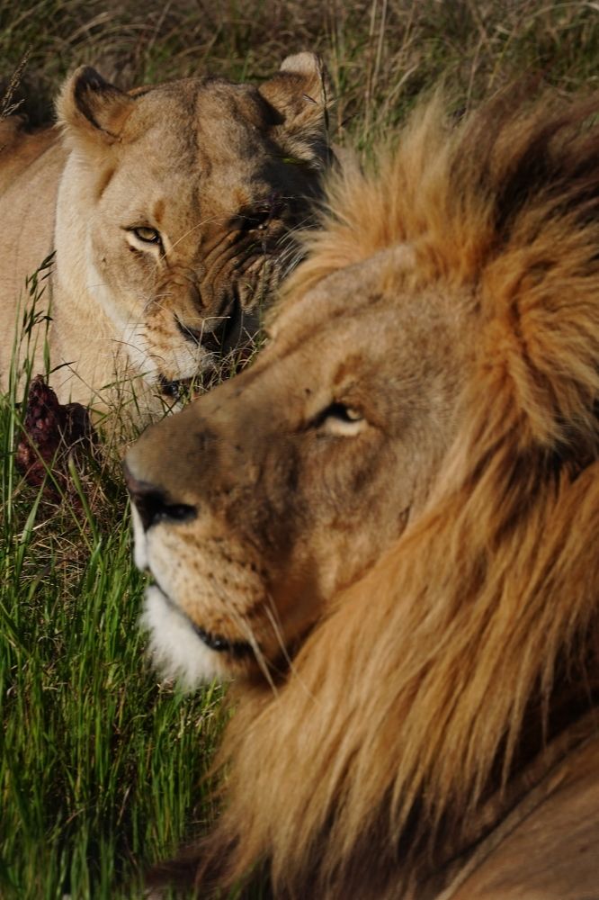 Photograph by Грибова Наталья