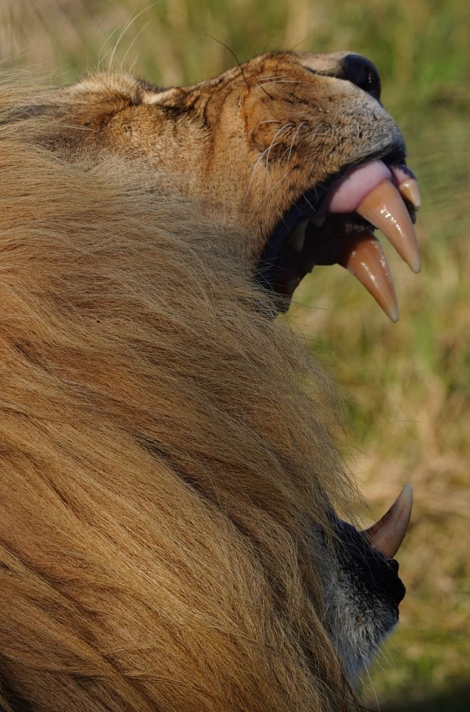 Photograph by Грибова Наталья