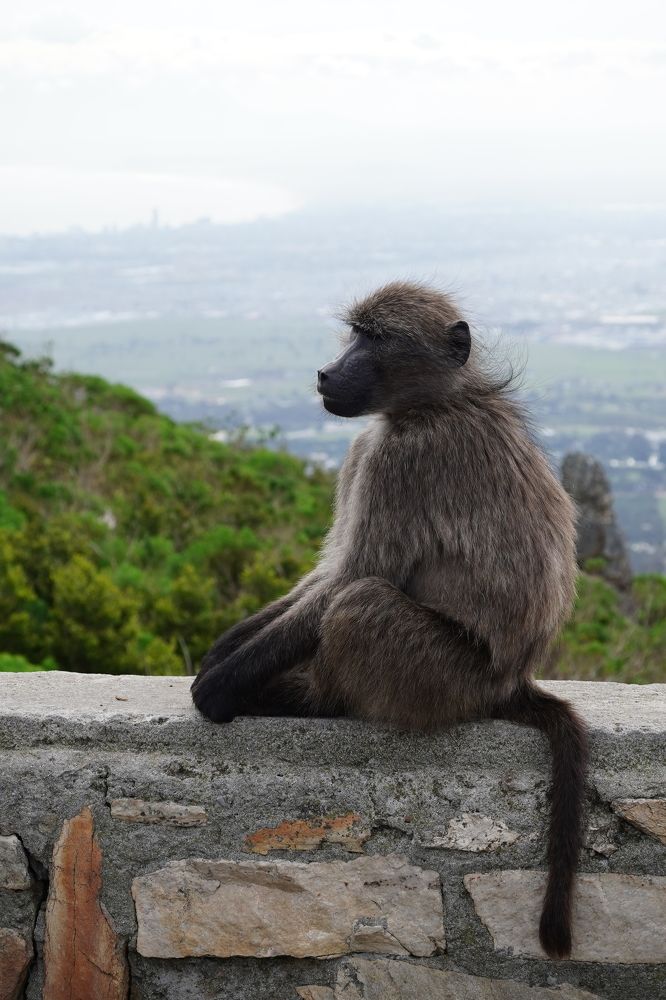 Photograph by Грибова Наталья