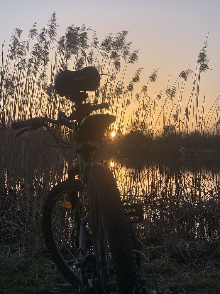 Фотография автора Ирина Шпаковская