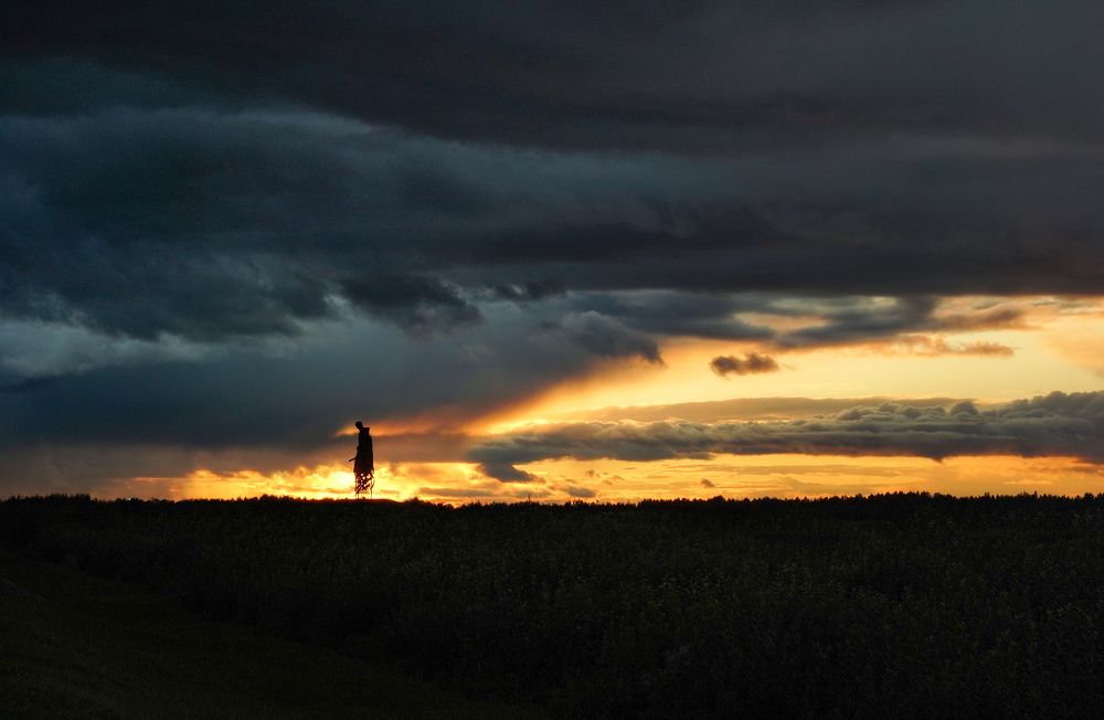 Ржевский мемориал