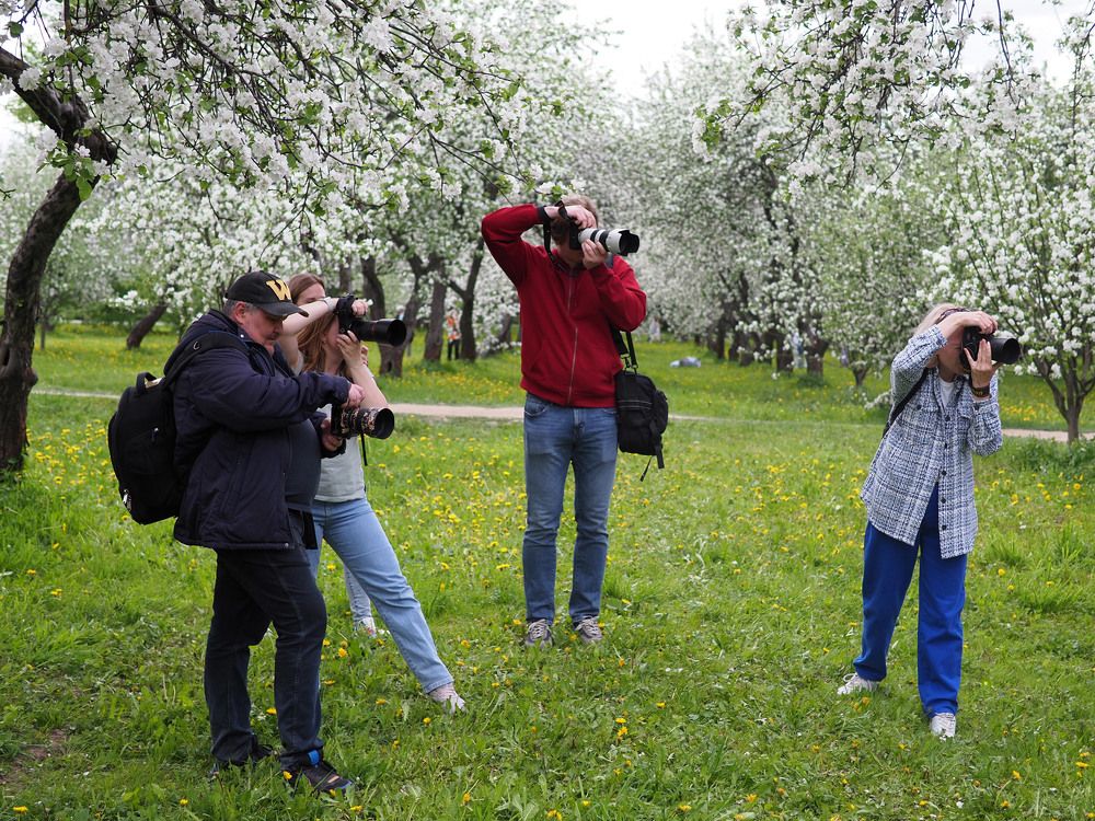 Photograph by Алексей Поляков