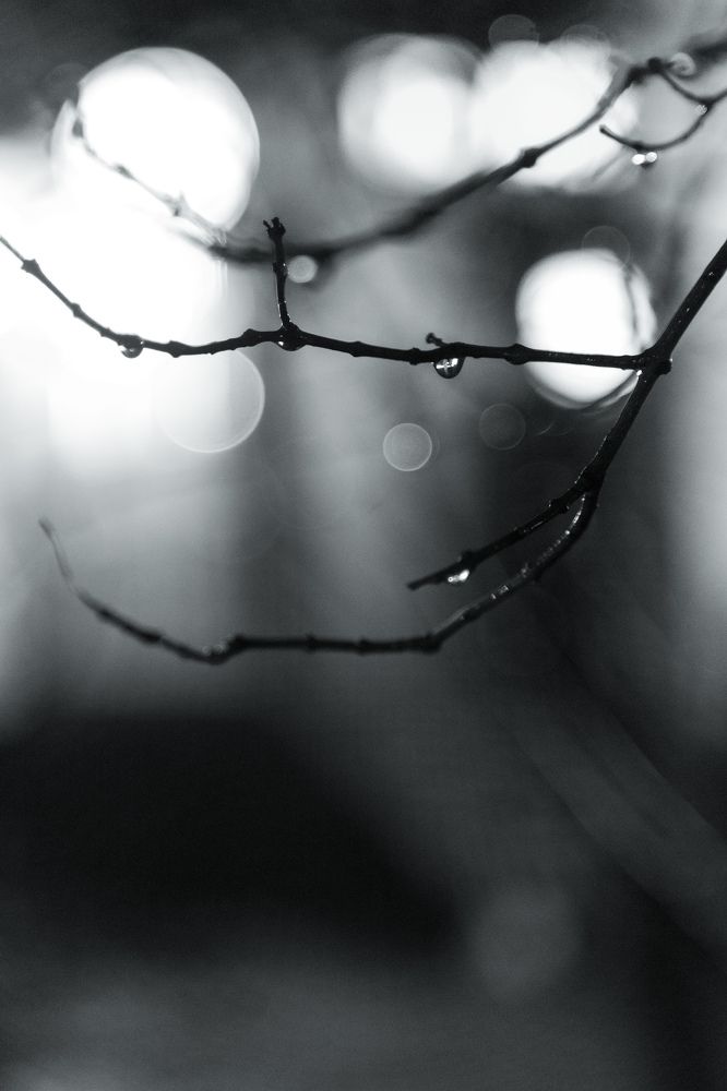 Photograph by Роман Акулов