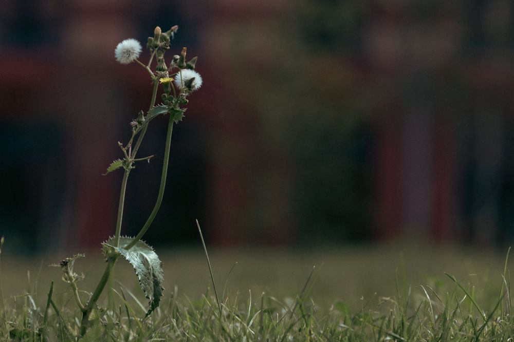 Photograph by Роман Акулов