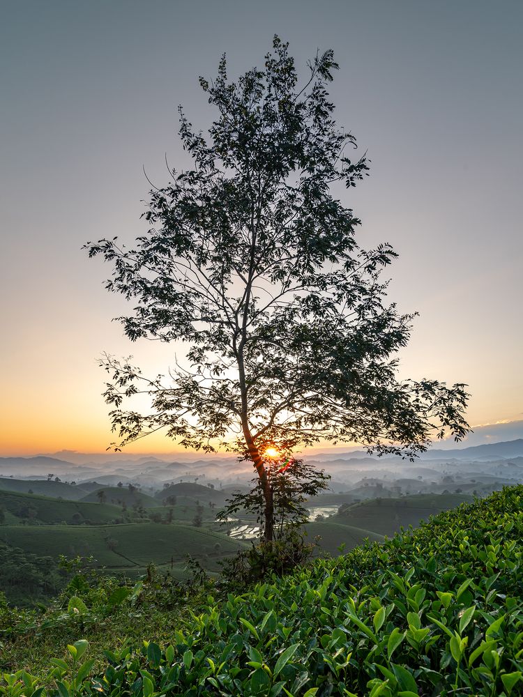 Photograph by Hung Hoang Kim