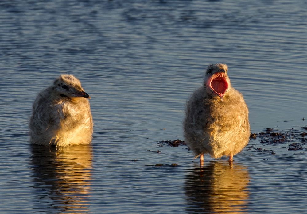 Фотография автора Viktoriya Kim