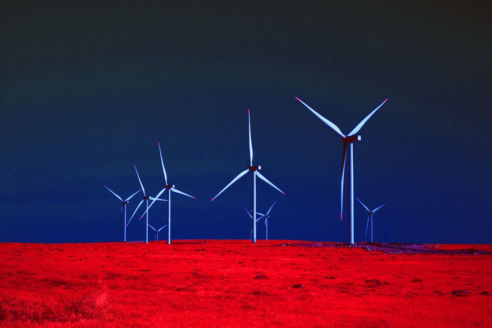 Photograph by Nikita