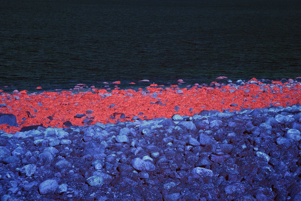 Photograph by Nikita