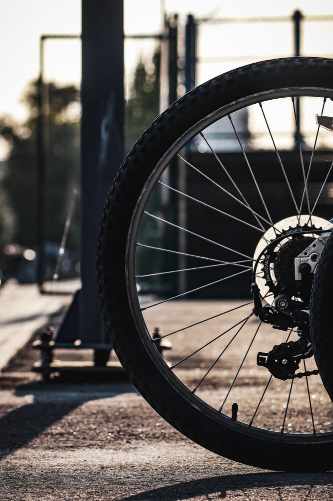 Фотография автора Илья Малеев