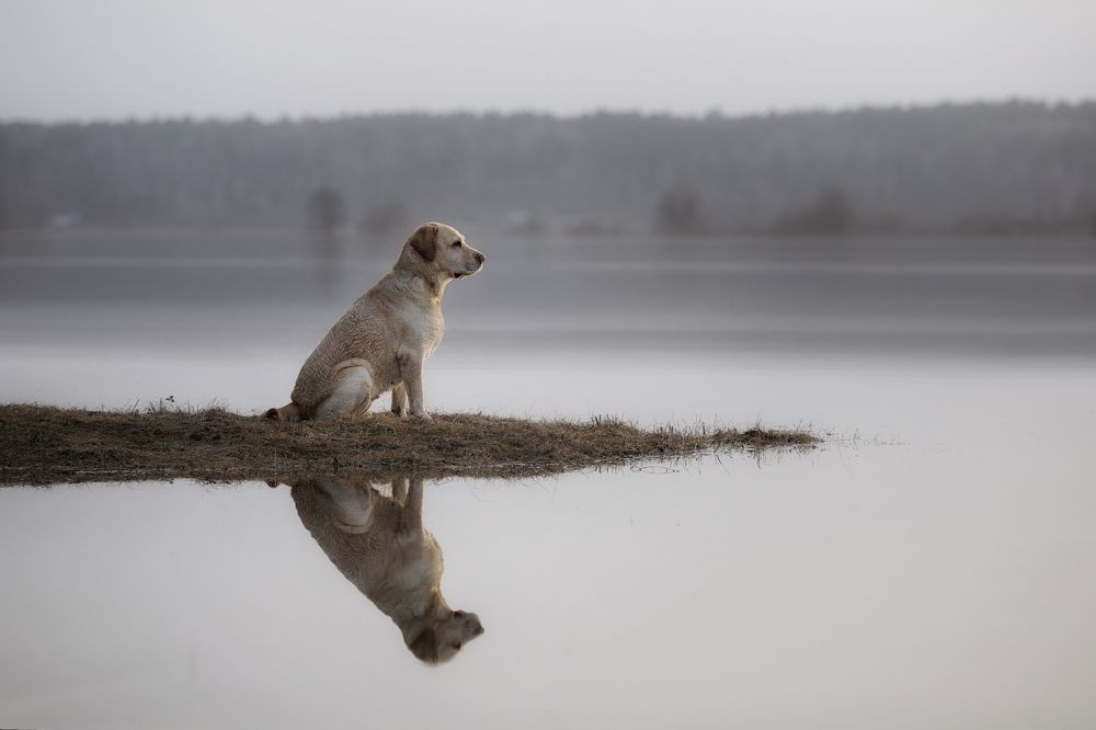 Безмятежность