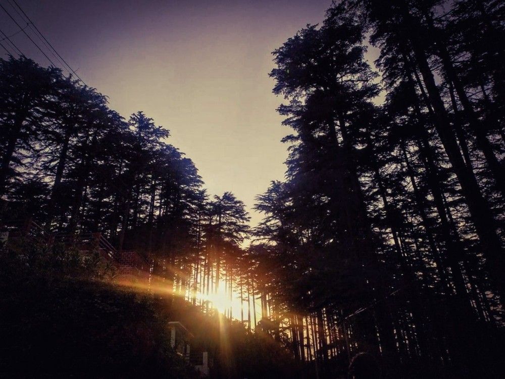 Photograph by Ilika Das