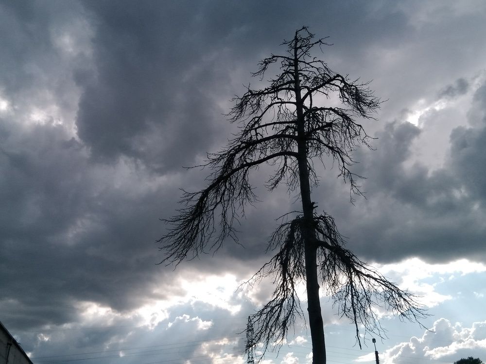 Photograph by Артем Гибадуллин