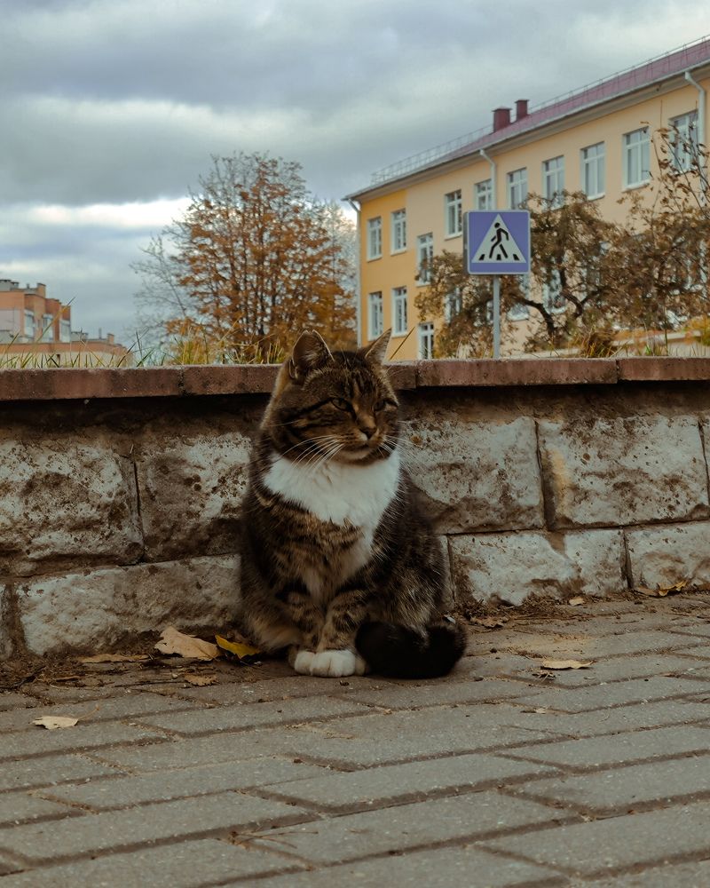 Photograph by Uladzimir Hvozd