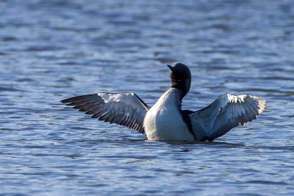Фотография автора Viktoriya Kim