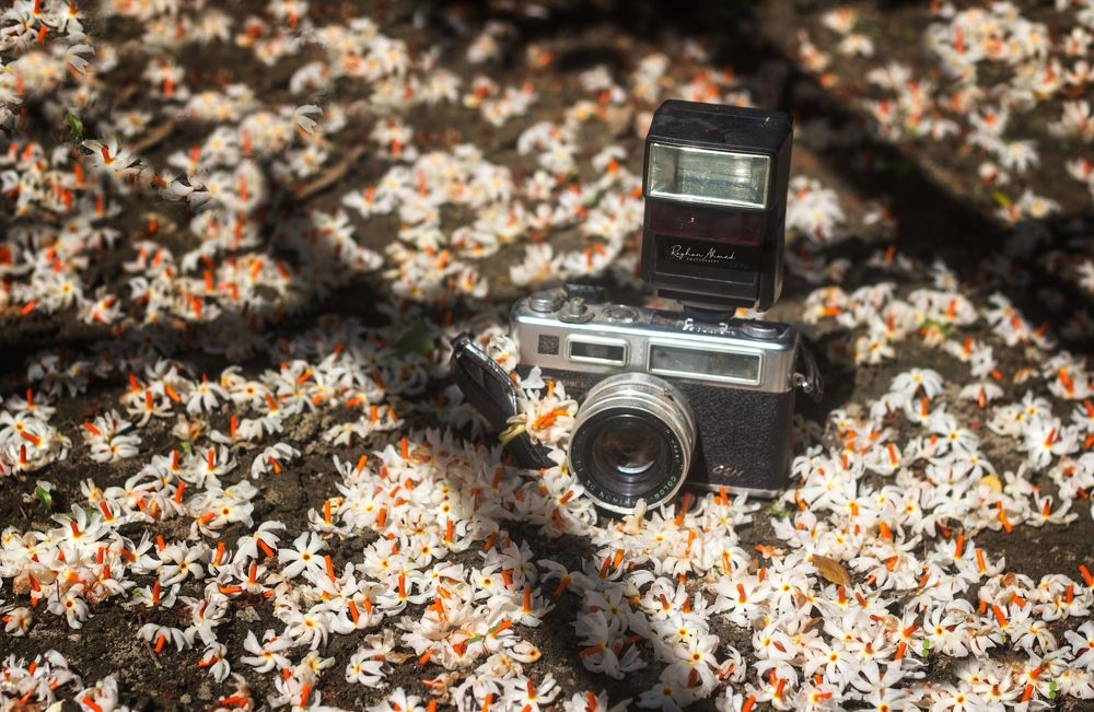 Photograph by Rayhan Ahmed