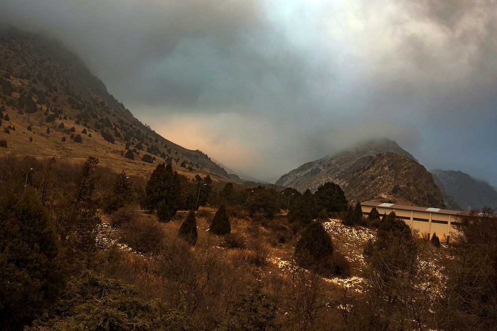 Photograph by Александр Грищенко