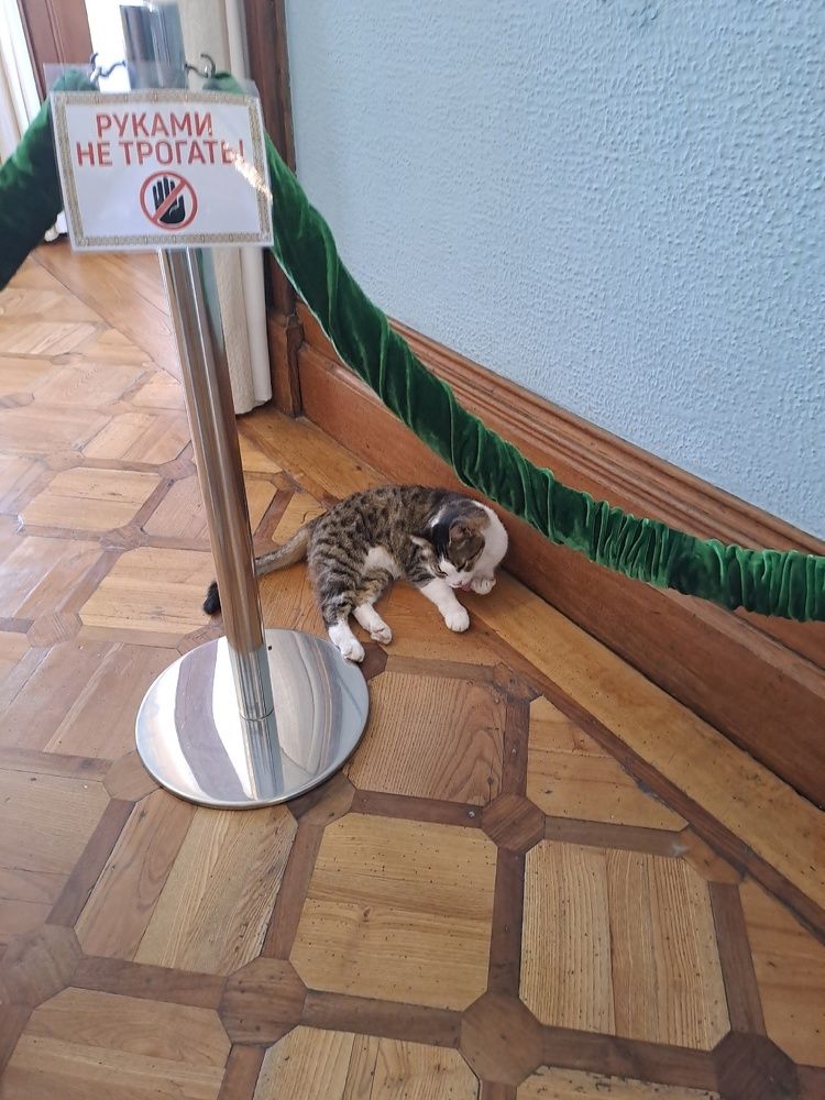 Photograph by Ольга Белоус