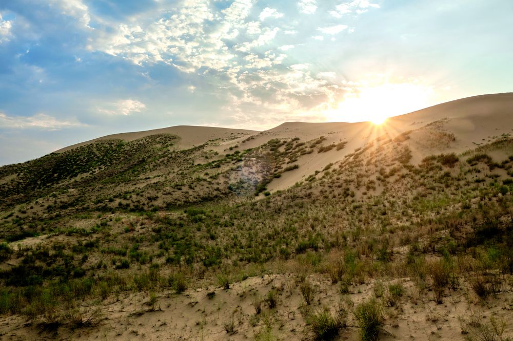 Photograph by Алексей Малов