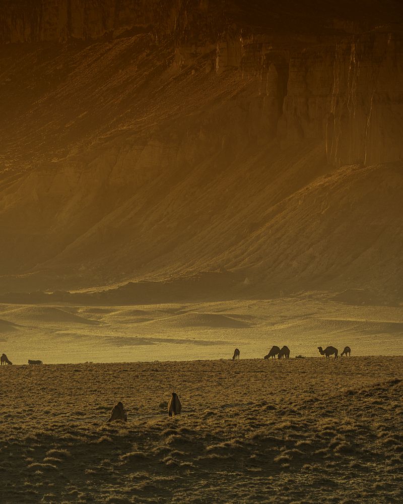 Photograph by vladislav kim kim