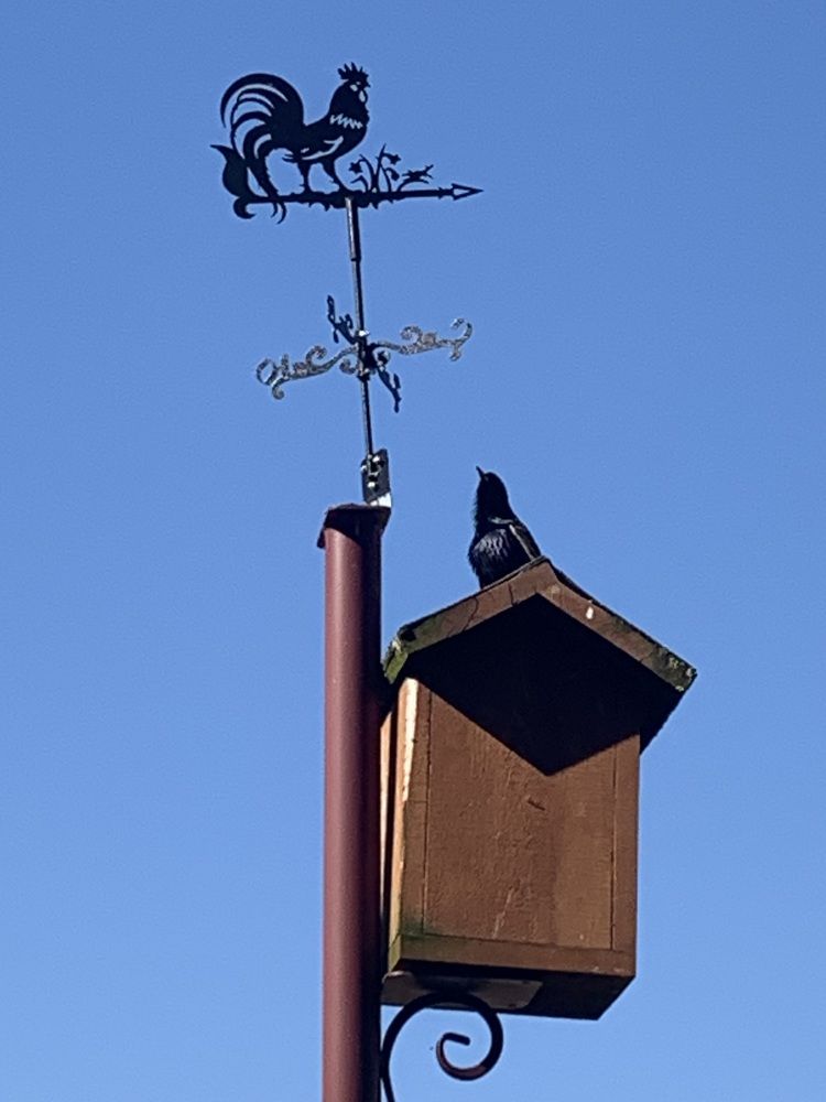 Фотография автора Ирина Шпаковская