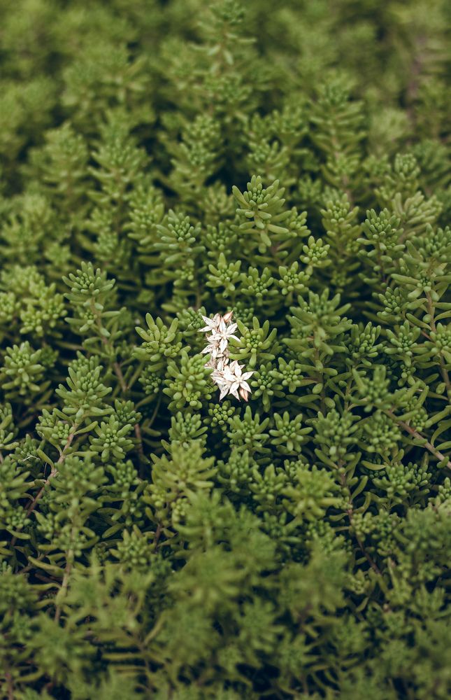 Photograph by Михаил Кудрин