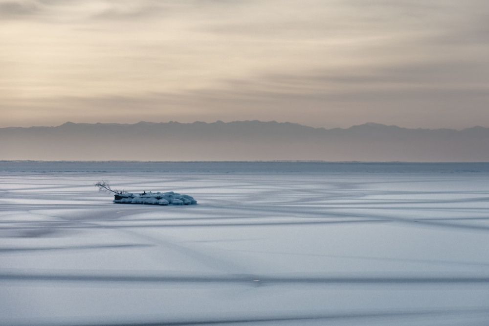 Photograph by Olga Sharikova