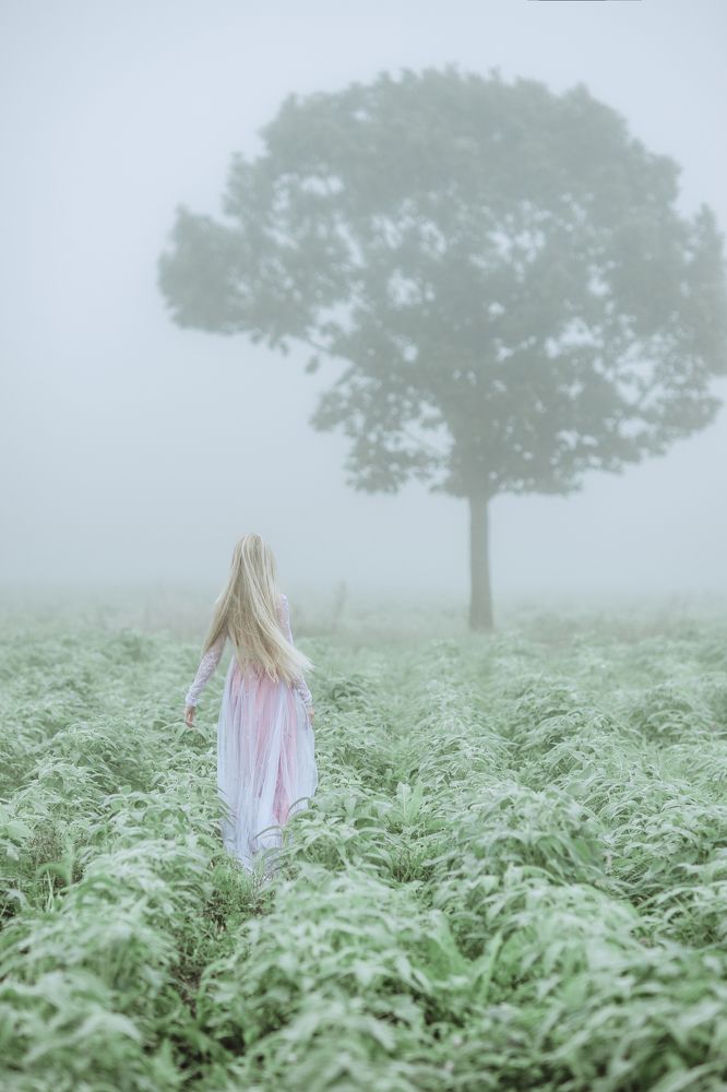 Фотография автора Диана Липкина