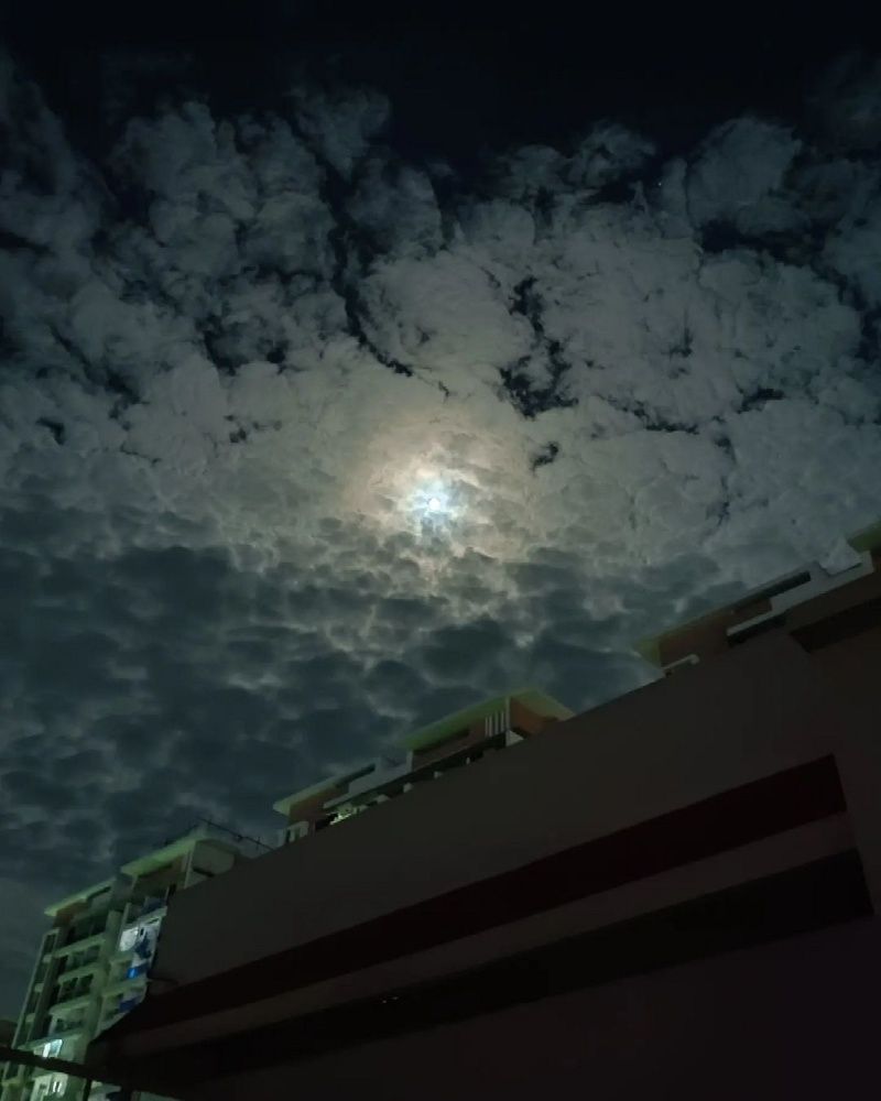 Photograph by Bhargav Pinapatruni