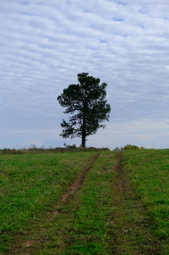 Photograph by Надежда Кангина
