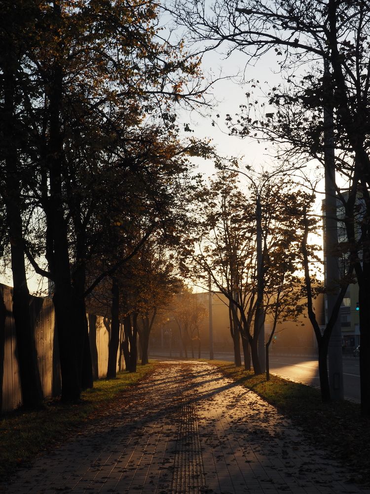 Photograph by Dmitry